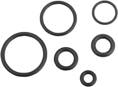 Drag Specialties O-Ring Kit For EFI Fuel Line (0706-0209)