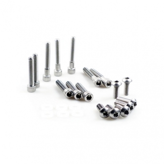 Gardner Westcott Primary Mount Kit, Stainless Allen Finish For 1985-1994 FXR, 1985-1998 FLT Models (ARM801729)