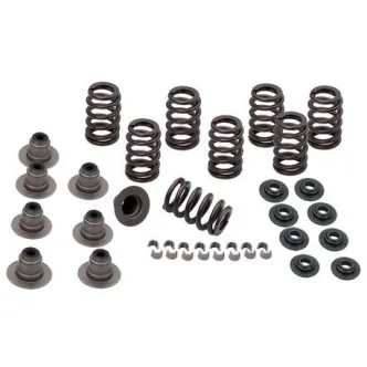 S&S Heavy Duty Valve Spring Kit For Harley Davidson 2018-2023 Softail M8 & 2017-2023 Touring M8 Models (900-0958)