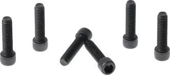 Cult Werk Triple Tree Screw Set (6 Piece Set), in Black Finish For 2016-2020 Sportster Models (HD-SPO108)