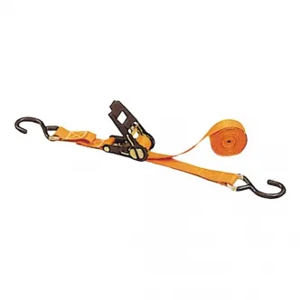 Tengtools 750KG Tie-Down With Ratchet (ARM290125)