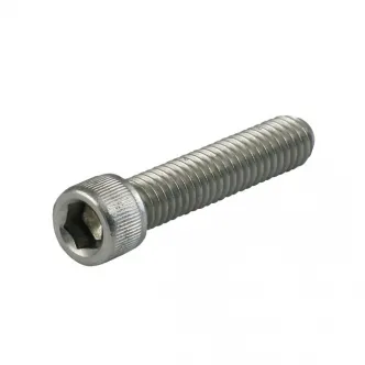 DOSS 1/4-20 x 7/8 Inch Allen Bolt in Stainless Steel (5 Pack) (ARM212379)