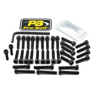 Pro Bolt Aluminium Engine Bolt Kit For Honda (EHO214BK)